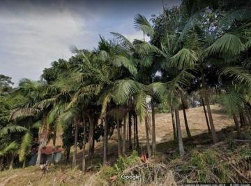 Terreno · 20000m² · Área para alugar, 20000 m² por R$ 40.000,00/mês - Três Cruzes - São Paulo/SP
