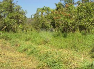 Imagem Principal · Chácara à venda com 1 quarto em Cruz Das Almas, Biritiba-mirim