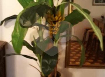 Área de Serviço · Casa com 3 quartos à venda em Jardim da saúde - SP