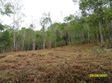 Rural , Juquitiba · EXCELENTE TERRENO PRÓXIMO DA REPRESA COD: 4430 F:(11) 97302-9229 CESAR