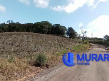 Terreno · 20000m² · Área à venda no bairro Cidade Nova - Caxias do Sul/RS