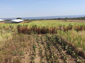 Rural de 6 quartos, Buritis · FAZENDA - BURITIS MINAS GERAIS| POTENCIAL PARA GRÃOS E PECUÁRIA COM 305 HÁ
