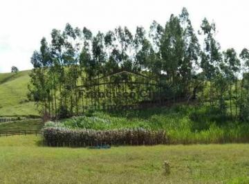 Rural · 36300m² · 3 Quartos · 6 Vagas · Sítio Sítio