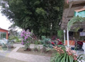 c6663d40cc676563367235b4ea47da70bba3e986 · Sítio com 3 dormitórios à venda, 12000 m² por R$ 900.000,00 - Aparecidinha - Santa Teresa/ES