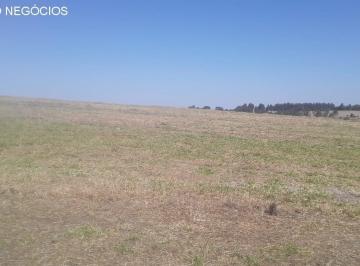 Foto 01 · Fazenda venda. Empório Negócios vende fazenda para pecuária e lavoura na região de Monte Santo de Mi