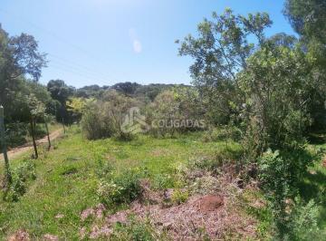 g4_28741_552211_1653_280420.JPG · TERRENO - MATO CASTELHANO
