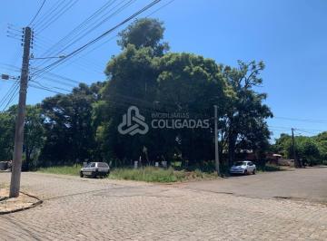 g4_31143_609102_1715_191120.jpeg · EXCELENTE TERRENO DE ESQUINA BOSQUE 