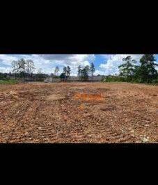 Terreno · 13000m² · Terreno para alugar, 13000 m² por R$ 27.500,00/mês - Parque Santos Dumont - Guar