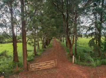 Rural de 4 quartos, Brazlandia · RODEADOR ALEXANDRE GUSMÃO FAZENDA 84 HECTARES ESCRITURADA COM MUITA ÁGUA