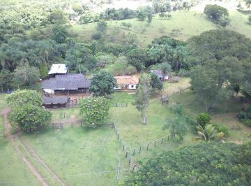 visitas 98296-2424 · FAZENDA FORMADA - EXCELENTE LOCALIZAÇÃO EM GOIÁS - Denis (61) 98225-5642