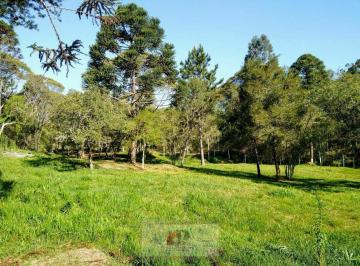 Rural · 5200m² · LINDA CHÁCARA À VENDA EM CAMPINA GRANDE DO SUL. PRÓXIMO AO HOSPITAL ANGELINA CARON