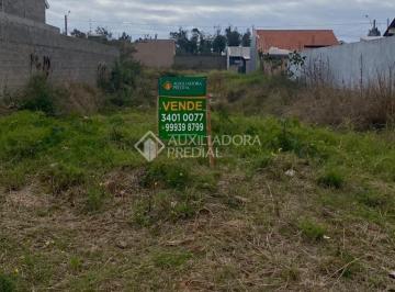 345789_i9kY0v1VjLy_34578960f88fdb37354.jpg · Terreno no bairro Florida