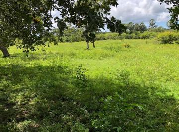 Terreno , Aquiraz · Terreno com 22 hectares por 3.200.000,00