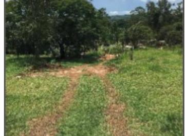 Foto 01 · Terreno para venda em Mogi das Cruzes, SP
