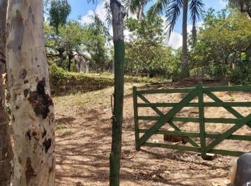 Rural · 188515m² · Fazenda em Manimbu  Tibau do Sul  -  Tibau do Sul