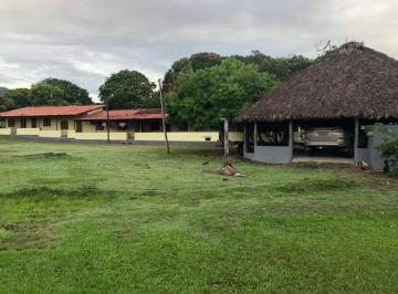 Rural de 4 quartos, Monte Alegre de Goiás · Fazenda 2725hec, Monte Alegre-GO, própria pra pecuária, 2500 cabeças