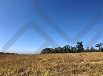 d22e4bf1573e5b46f7c600803a99a312384ce1b5 · Terreno à venda, 560 m² por R$ 720.000,00 - Aldeia da Serra - Santana de Parnaíba/SP