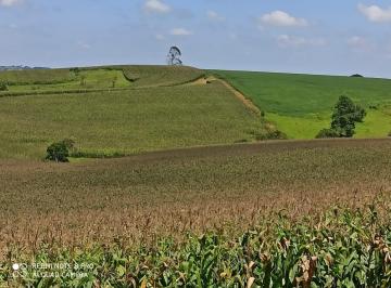 2021/08/231408a2831f4e3eec90900f965781f8.jpg · RURAL - CENTRO