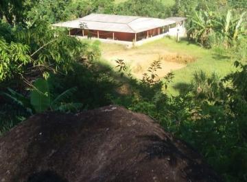 Rural de 4 quartos, Miracatu · chácara em Miracatu c/nascente