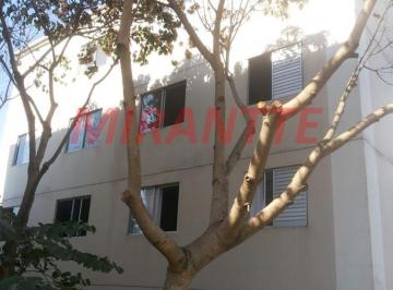 63ddd3cbc192e81ead97d505a82b195e.jpg · Apartamento de 42m² com 2 quartos