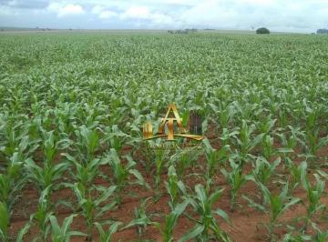 284dedd7559523bd72b533453a9784e75d7e3251 · Fazenda para Venda na Região de Marilia - SP - Confira!!!