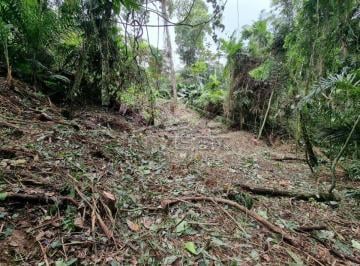 Imagem do Imóvel · OPORTUNIDADE - Ubatuba, Praia do Félix, Terreno de 1.000m2, com licenciamento e projeto com 200m² ap