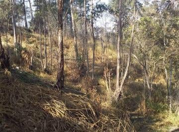 6f390e75664ad2388ab111c97027c49aadb3b6f2 · Terreno à venda, 8600 m² por R$ 400.000,00 - Jardim dos Lagos - Franco da Rocha/SP
