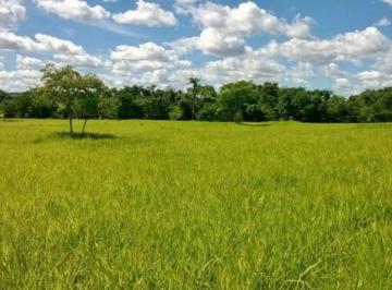 Rural , Formosa · FAZENDA - FORMOSA - GOIÀS| PLANA, TODA FORMADA COM 300 ALQUEIRES 