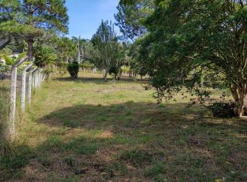 0f44588c527c80945db60e19cf150f17be244e05 · Terreno à venda por R$ 450.000,00 - Bortolan - Poços de Caldas/MG