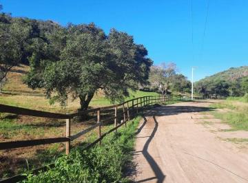 02264e54709730f50b300a4fc9cac2a98bf58c7a · Terreno à venda, 13.100 m² por R$ 1.200.000 - Porto do Carro - Cabo Frio/RJ