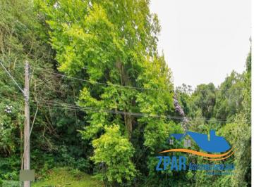 Foto 01 · Terreno, Jardim Isabel, Porto Alegre, RS