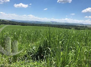 20220514111036314822.jpeg · Sítio para Venda em Rio Claro, zona rural, 2 dormitórios