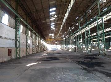 imoveis_sao_caetano_sul_TIE9SVOHB37WALHS.jpg · Venda - Terreno - São Paulo - Cangaíba