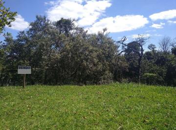6d3371f971aa692e1d2e73a627cc80d77749cbe6 · Terreno à venda, 497 m² por R$ 500.000,00 - Tarumã - Santana de Parnaíba/SP