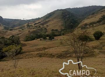 Foto 01 · ÁREA RURAL 10 ALQUEIRES COM EXCELENTE TOPOGRAFIA EM MONTEIRO LOBATO!