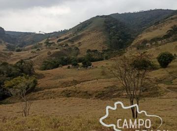 Foto 01 · ÁREA RURAL 10 ALQUEIRES COM EXCELENTE TOPOGRAFIA EM MONTEIRO LOBATO!