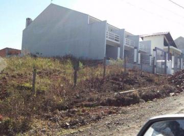 239540_iefllIu_23954059c9181a9b3f9.jpg · Terreno no bairro Centro