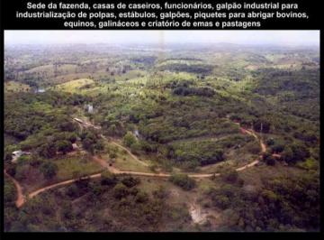 36471854.jpg · MEGAINVESTIMENTO ÁREA 200 HECTARES!!!