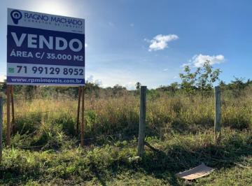 2020/06/117818144.jpg · COMERCIAL - CATU DE ABRANTES (ABRANTES)