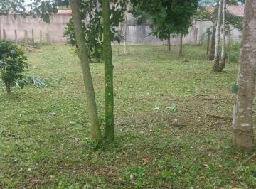 Foto 12 · Terreno em excelente localização!