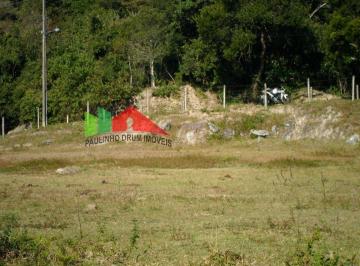 Terreno · 22129m² · REF. 163 Terreno amplo no bairro Ratones, Florianópolis/SC