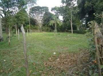 57144391.jpg · TERRENO - CENTRO