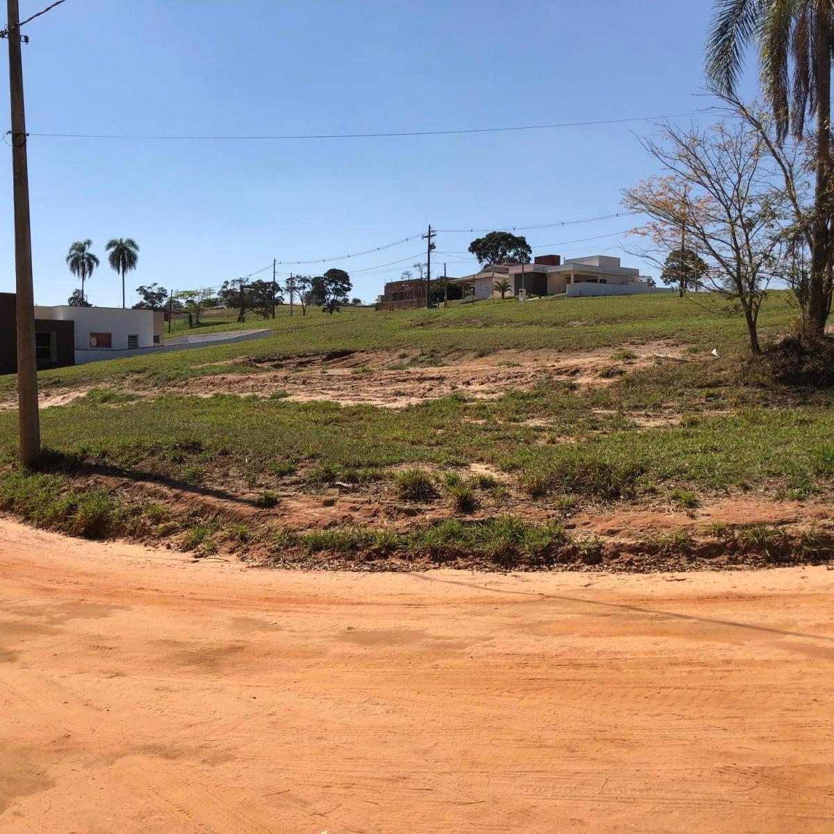 Foto - Pardinho - Ninho Verde II