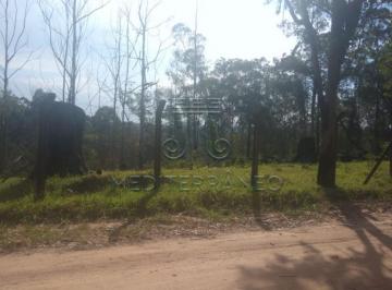 Terreno · 5000m² · Terreno Padrão em Campo Limpo Paulista
