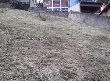 Terreno · 490m² · Lote - Terreno à venda, Santa Lúcia - Belo Horizonte/MG