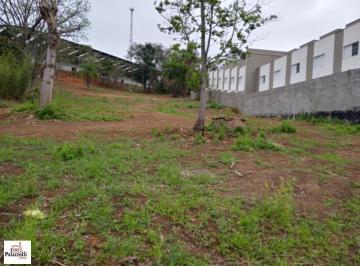 d3fa90c08897.jpg · Terreno Comercial São Roque - SP - Centro (São João Novo)