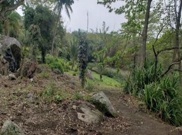 Foto 01 · Terreno, Siriuba, Ilhabela, SP