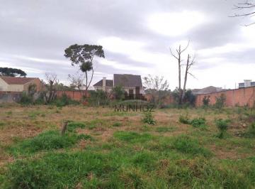 00777a2dbcd396951fd4945ac0144b0aa209d9b2 · Terreno ZR2 à venda, 2930 m² por R$ 5.000.000 - Santa Felicidade - Curitiba/PR