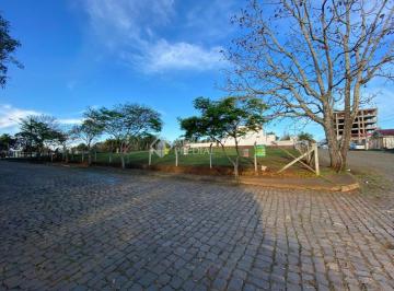 350336_izB9y958_350336613c9e0d4280c.jpg · Terreno no bairro Cristo Rei