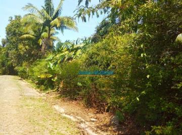 c49d543ea6759176fbef286163ef72a5b1797305 · Terreno à venda, 6700 m² - Comary - Teresópolis/RJ